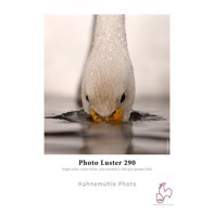 Hahnemühle Photo Luster 290 g/m² - 17" x 30 metriä